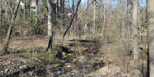 Photo of Beaver Dam trail