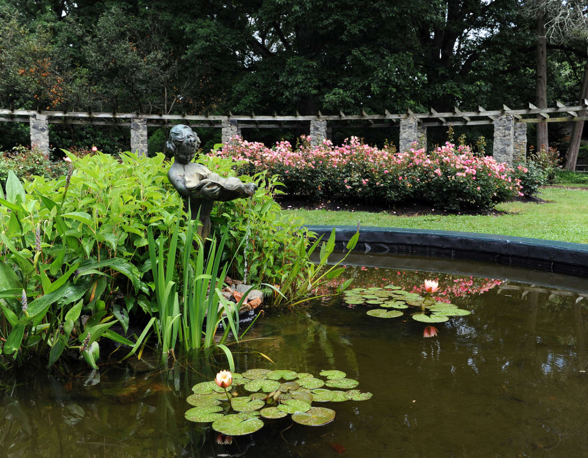 Raleigh Little Theatre pond in the garden