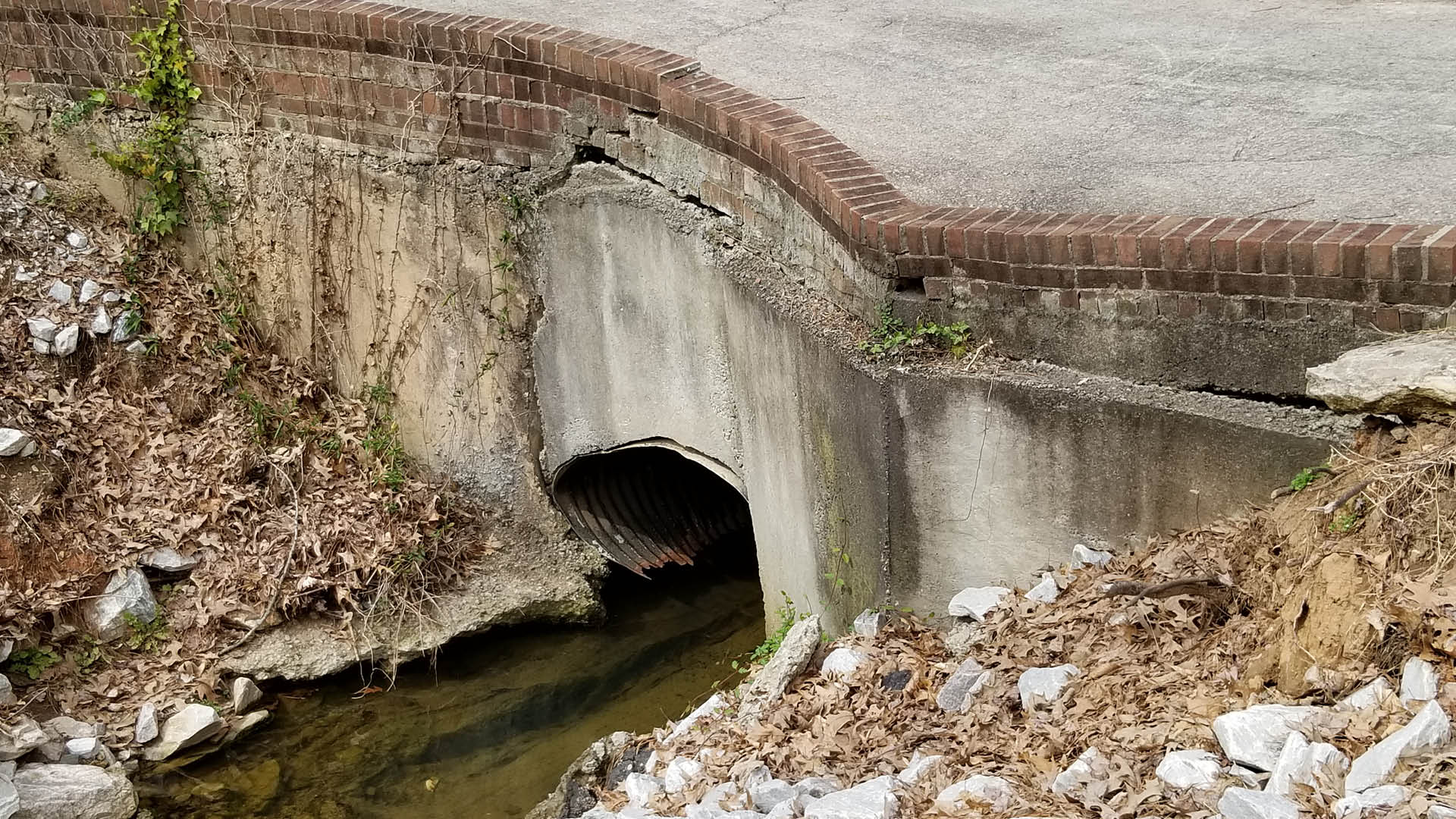 Eroded stormwater pipe on Windsor Place