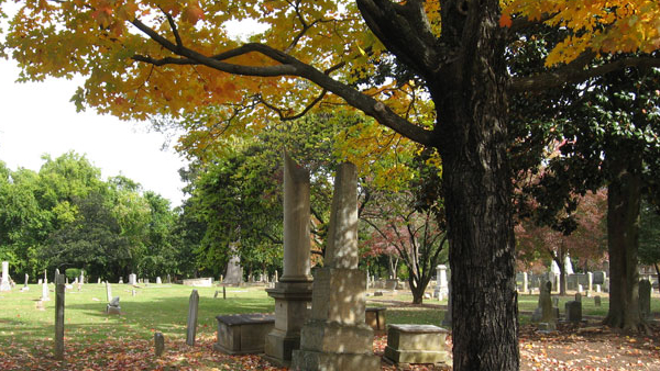 VIew of a City of Raleigh historic cemetery