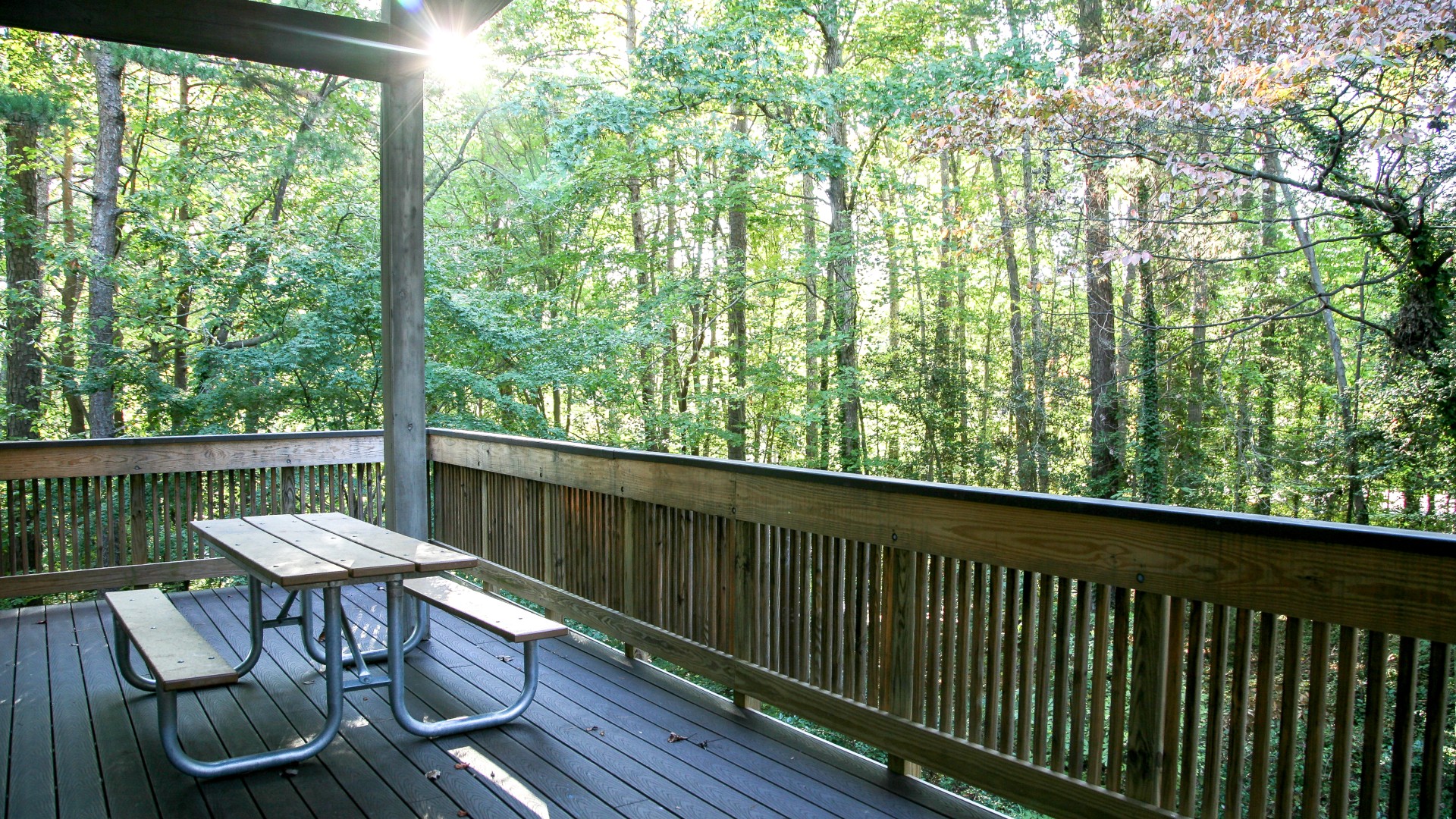 Picnic bench on wooden deck