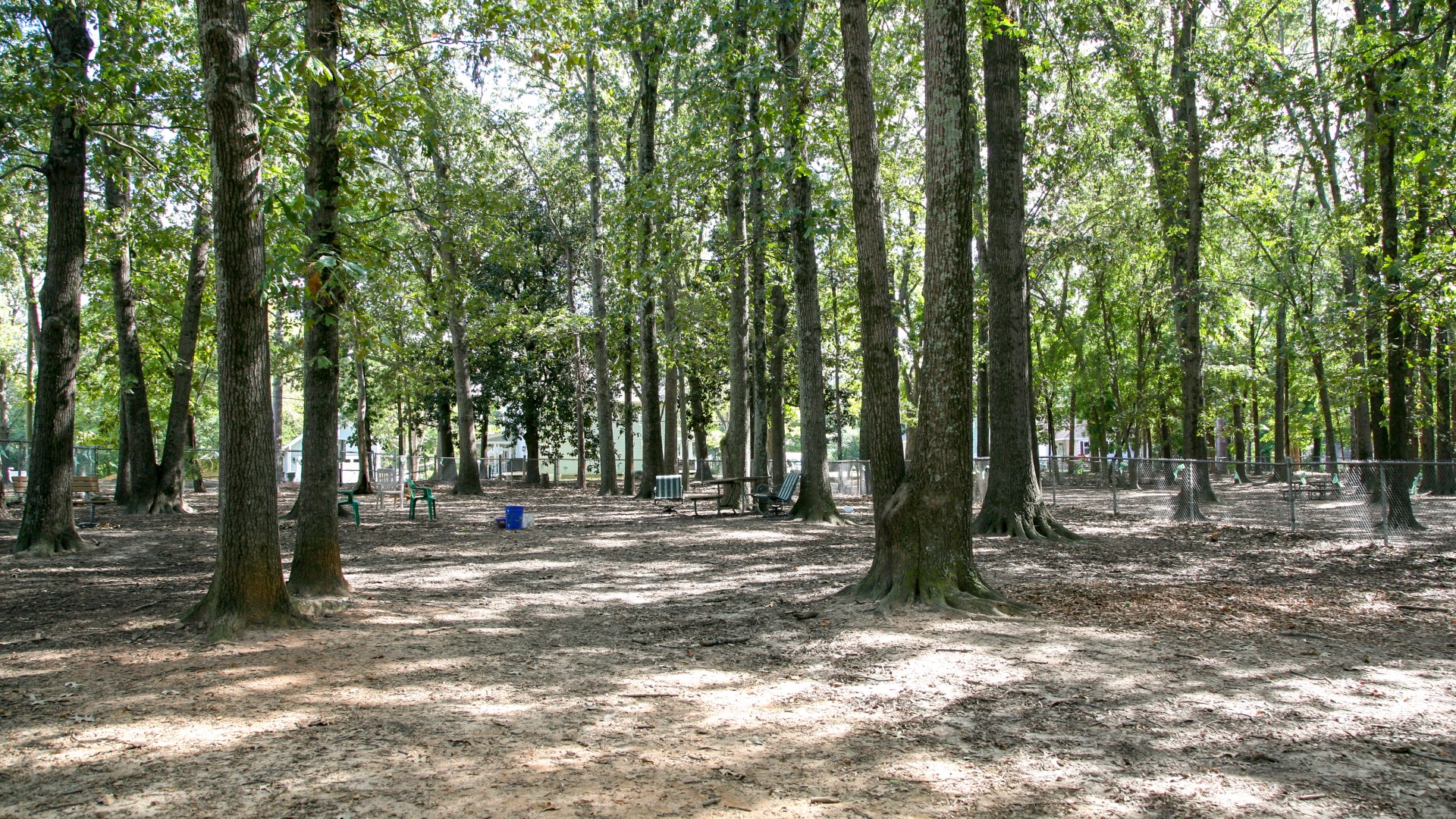 Oakwood Park Raleighnc.gov