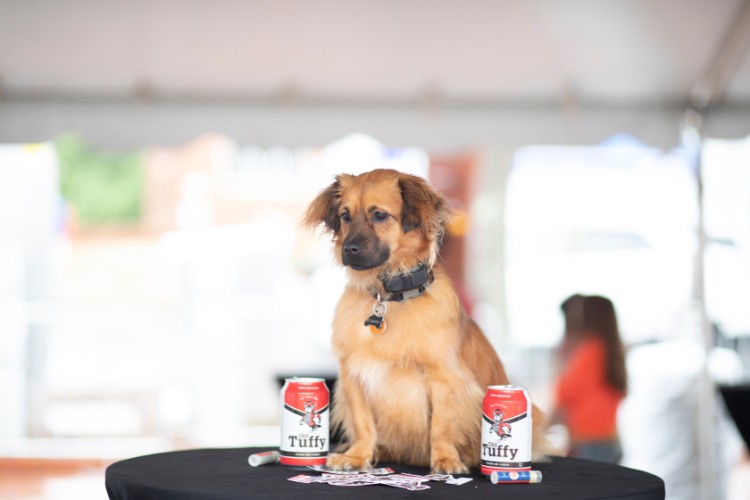 Old Tuffy beer is debuted at Packapalooza