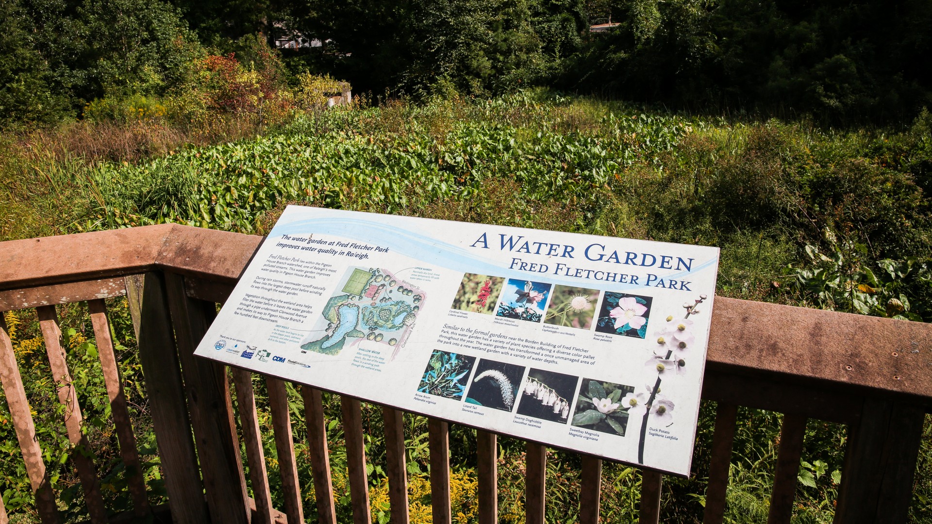 Fred Fletcher Park Raleighnc.gov