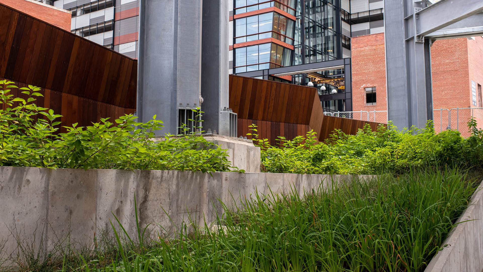 A rain garden outside of Raleigh Union Station