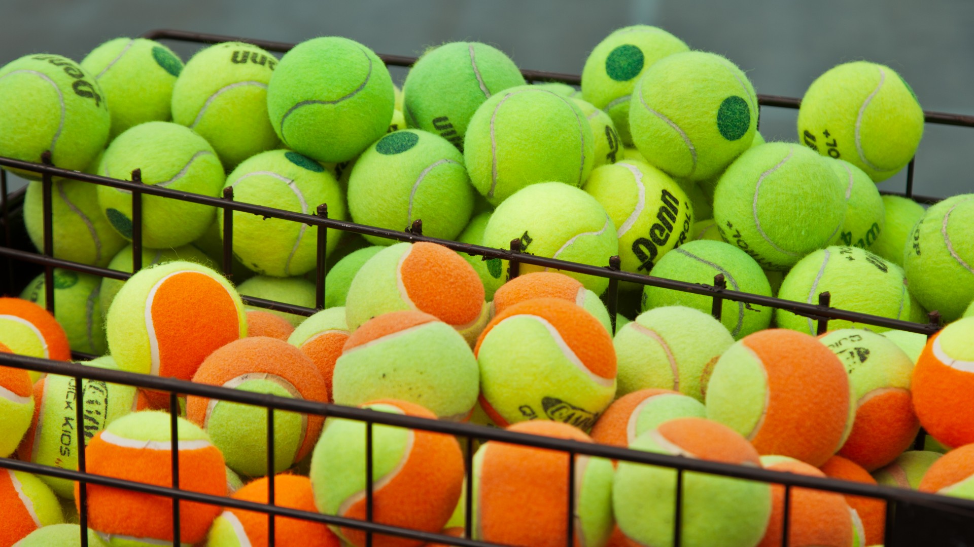A basket full of tennis balls at Millbrook 