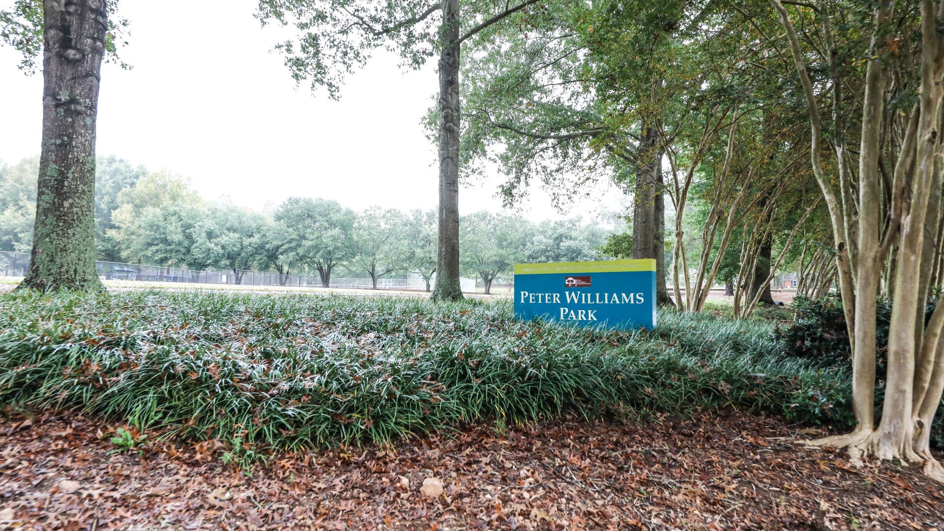 The signage at Williams Park surrounded by trees and bushes 
