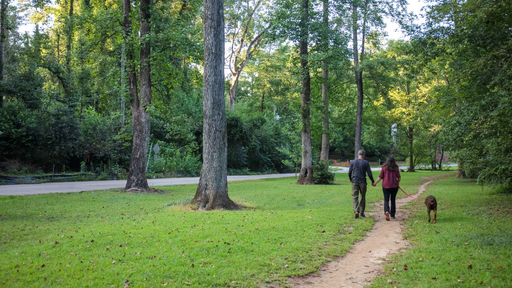 Two people walking through park 