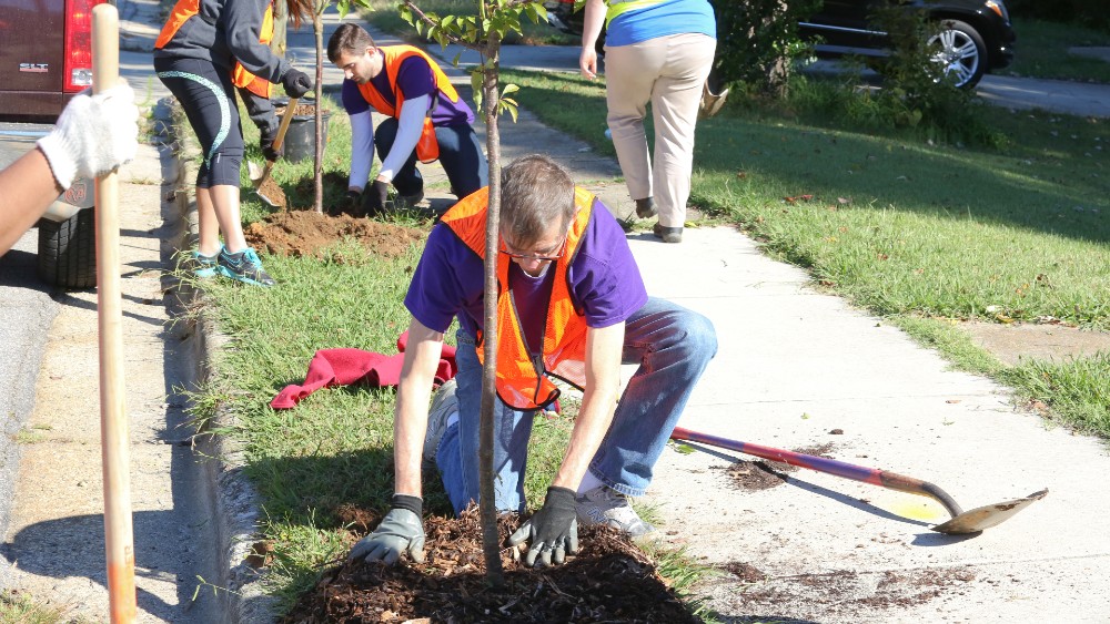 Tree Planting Raleighnc.gov