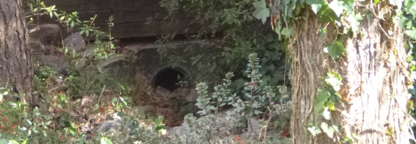 Old stormwater pipe at a structure on Alamance Drive