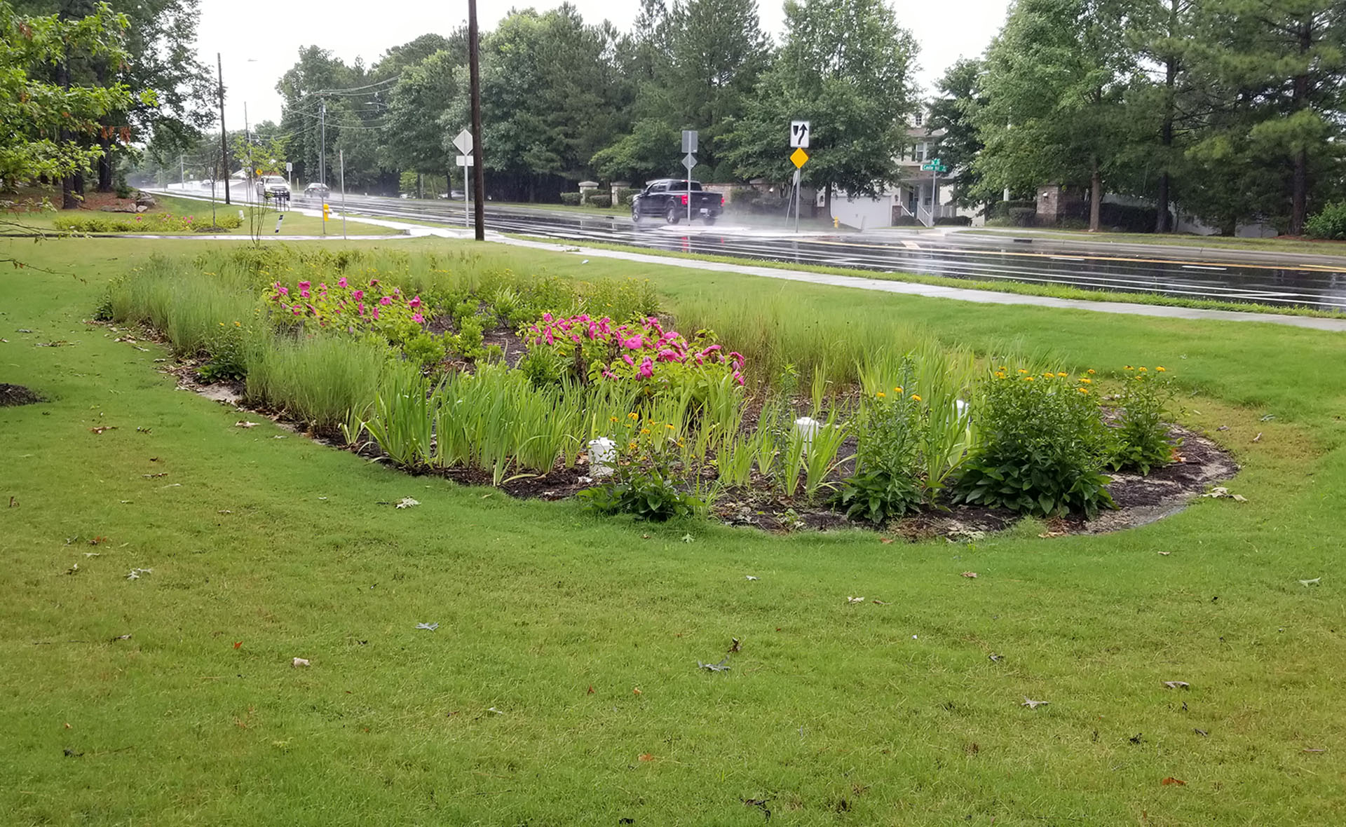 the bioretention area on Fox road  