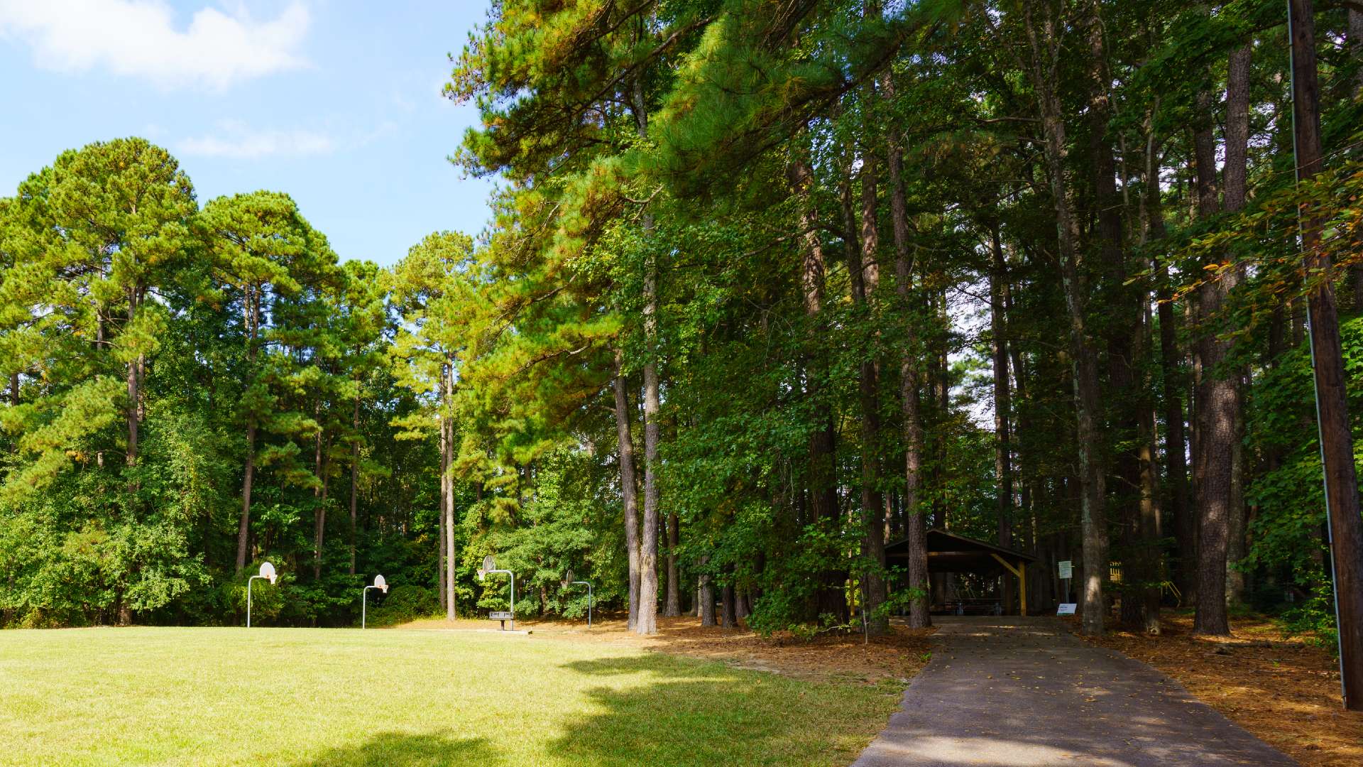 Entrance with paved path leading to playground in woods with basketball court on left
