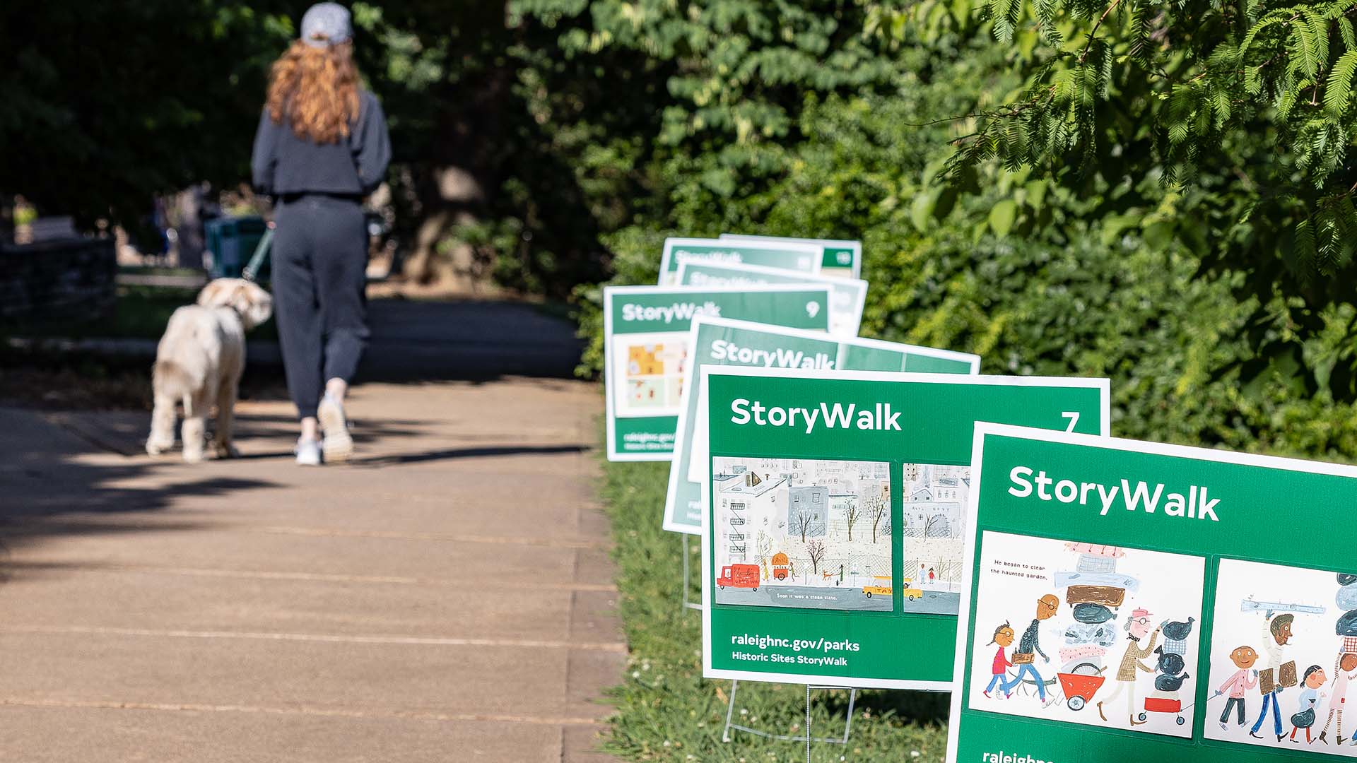 Person walking a dog with story walk signs in the grass beside the sidewalk