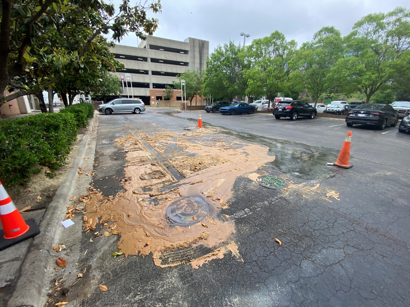 An overflow from a manhole in the parking lot of fats, oils, and grease that clogged the sewer system. 