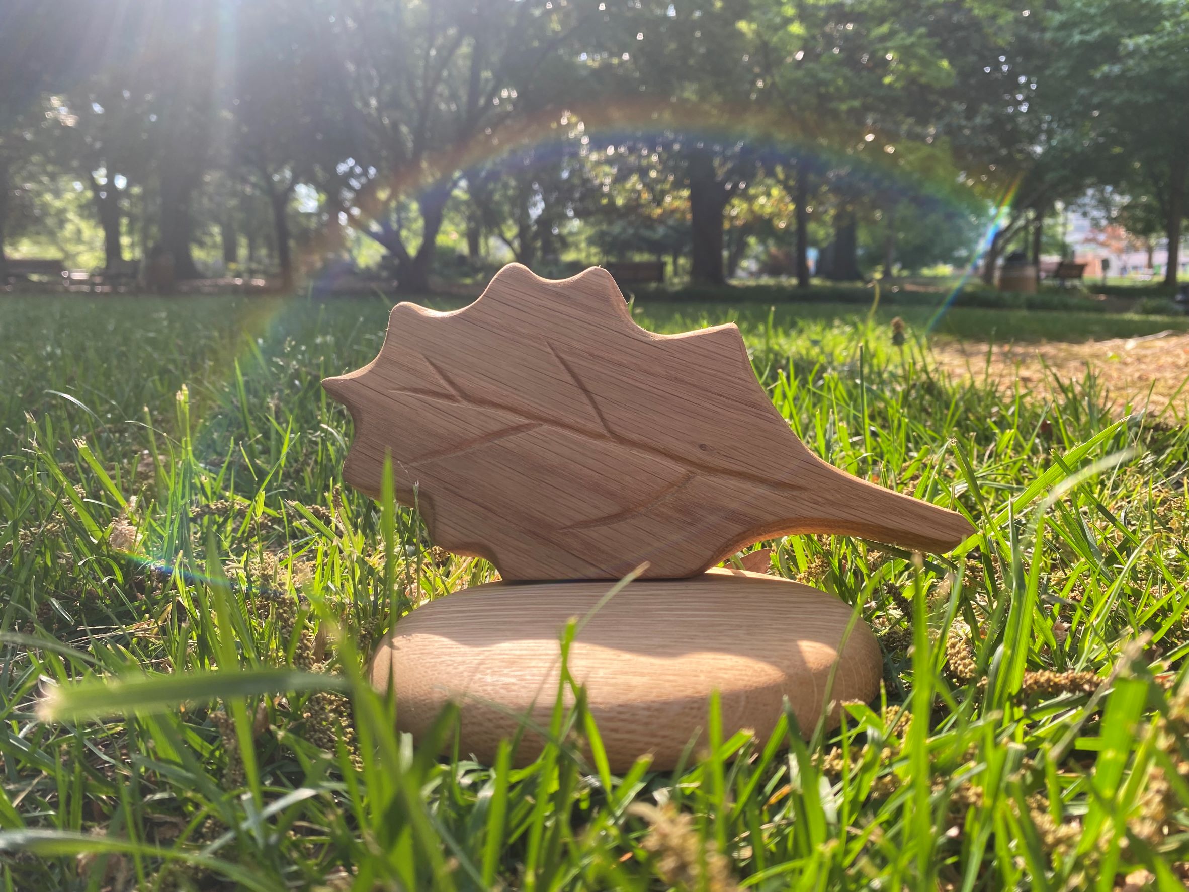 Raleigh Environmental Award trophy in the grass and sunlight