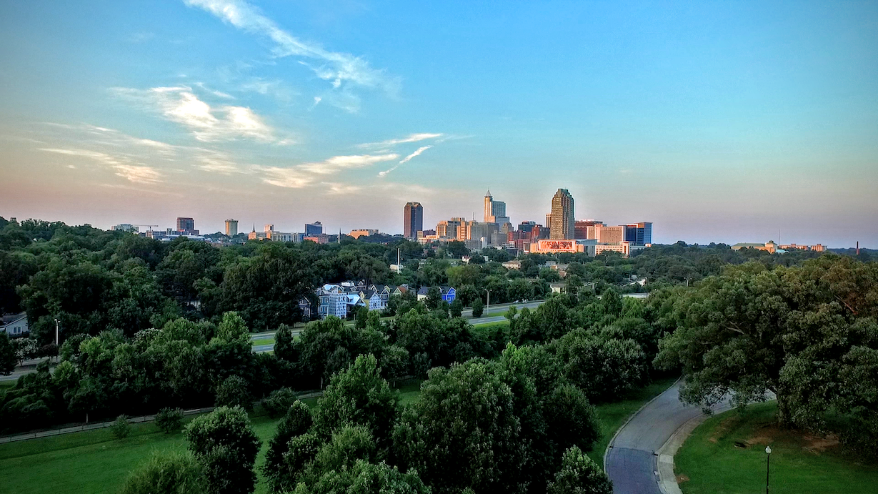 Raleigh City Skyline