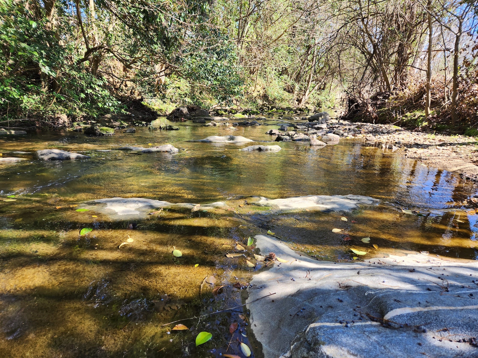 Rocky Branch Walnut Creek