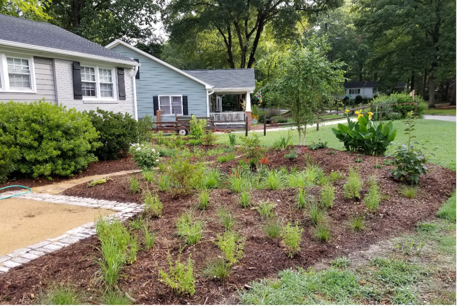 Rain Garden