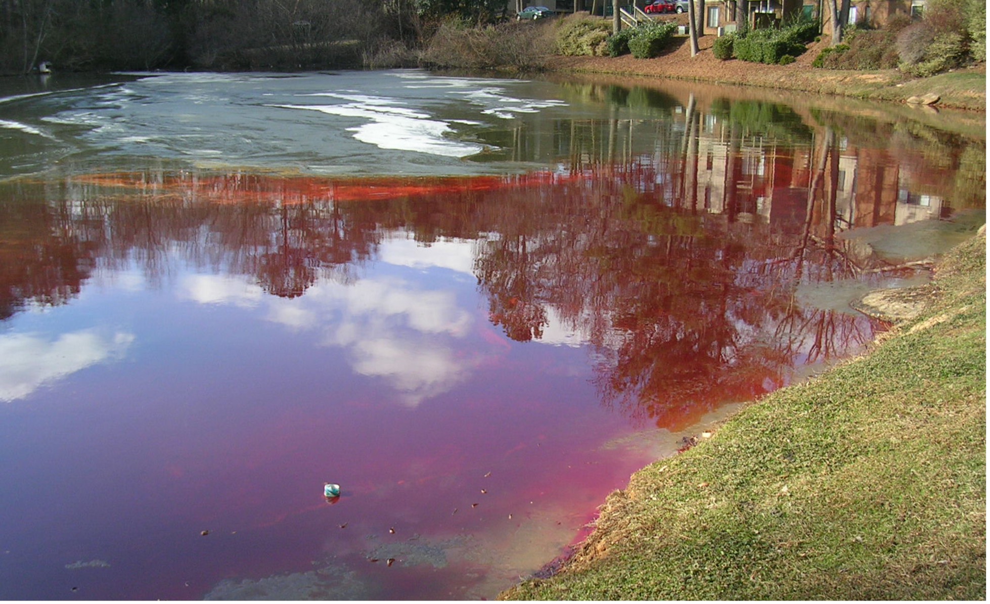 Hydrocarbons Stormwater Pollution