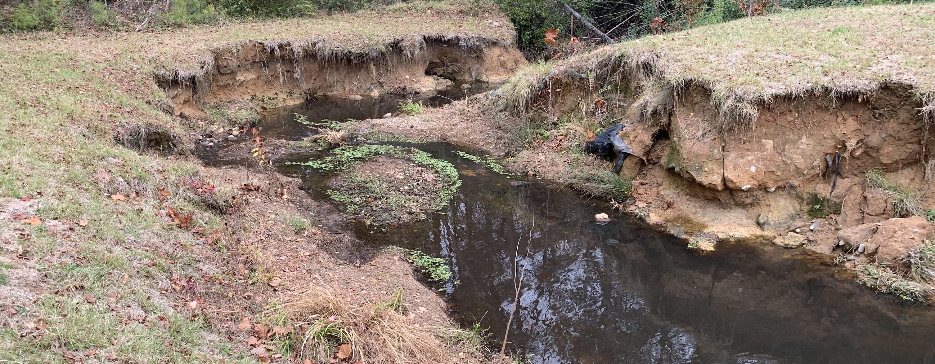 Lower Longview Streambank Stabilization | Raleighnc.gov