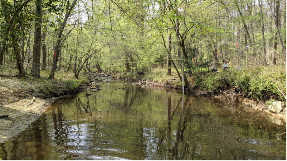 Hare Snipe Watershed