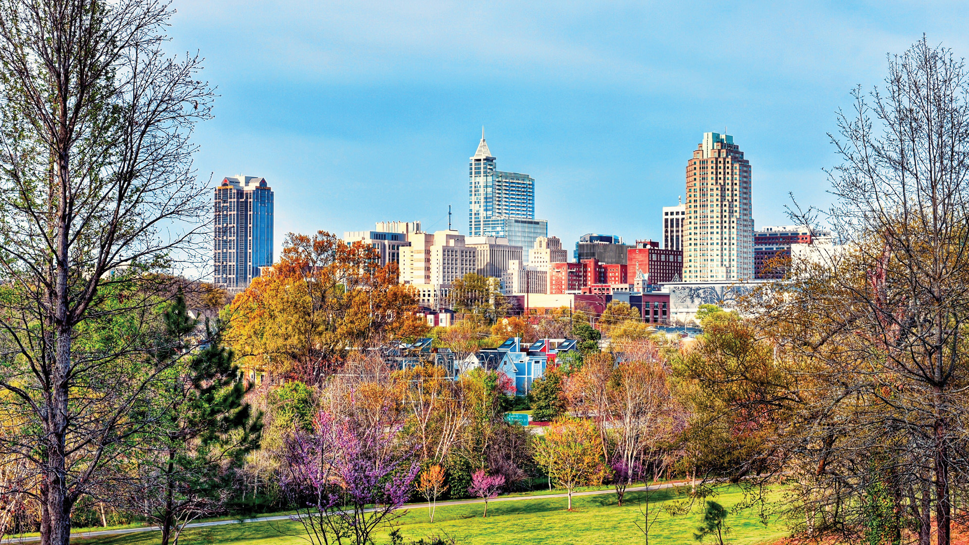 Downtown Raleigh Skyline Image from Dix Park