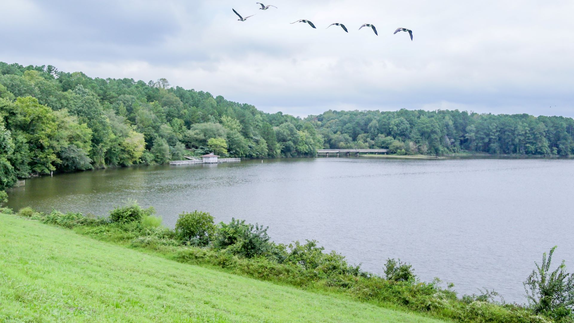Lake view of Shelley Lake Park 