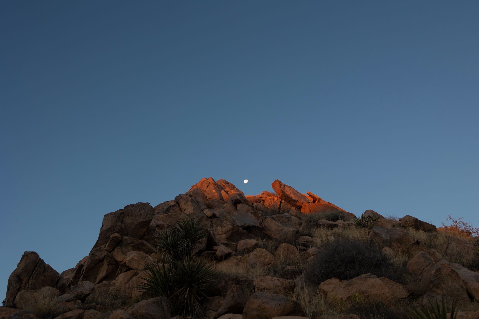 photograph of a moon rising over a hill/