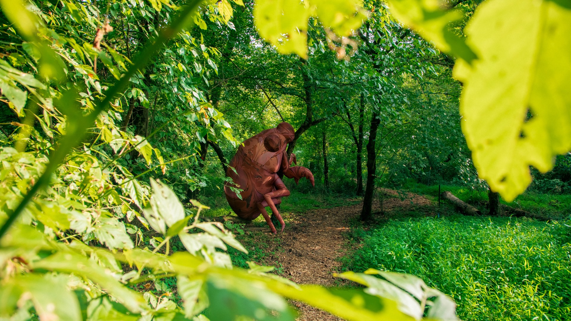 An outdoor scene in the woods with a sculpture of a large cicada hangs out along a trail. Words state Brood Awakening which is he name of the project