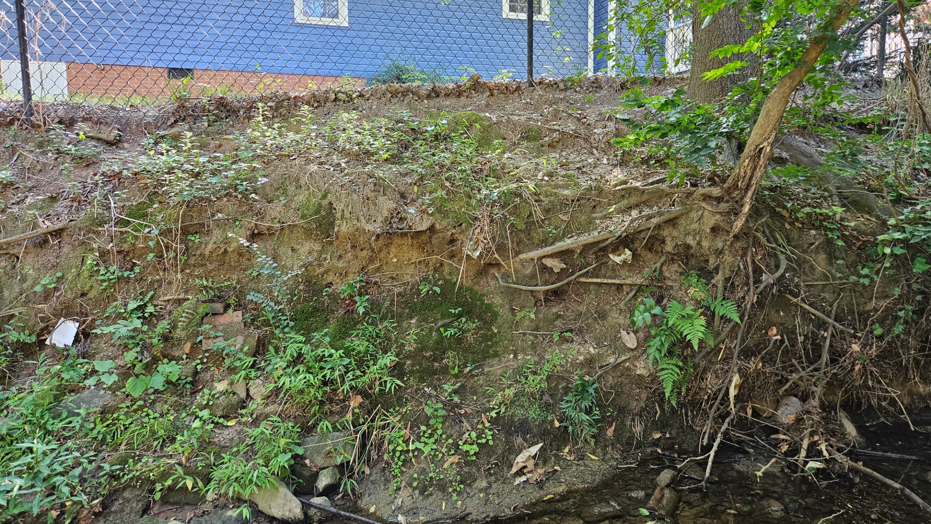 Brookside Drive Streambank Erosion