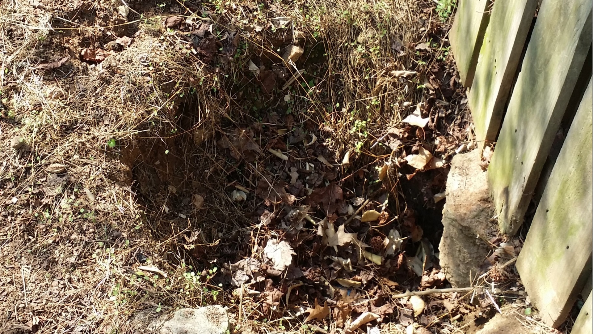 Dahlgreen Road Sink Hole