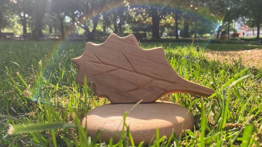 Leaf trophy in a park