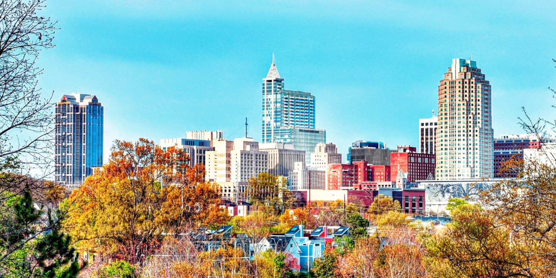 Raleigh Skyline