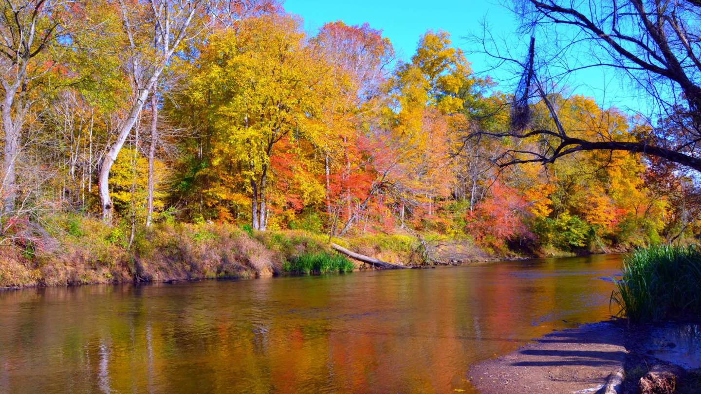 Image of the Neuse River in the fall