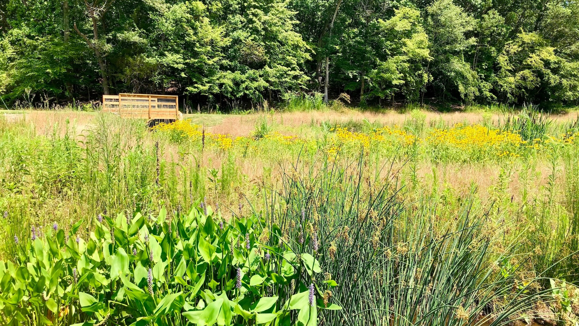 Wooten Meadow Park