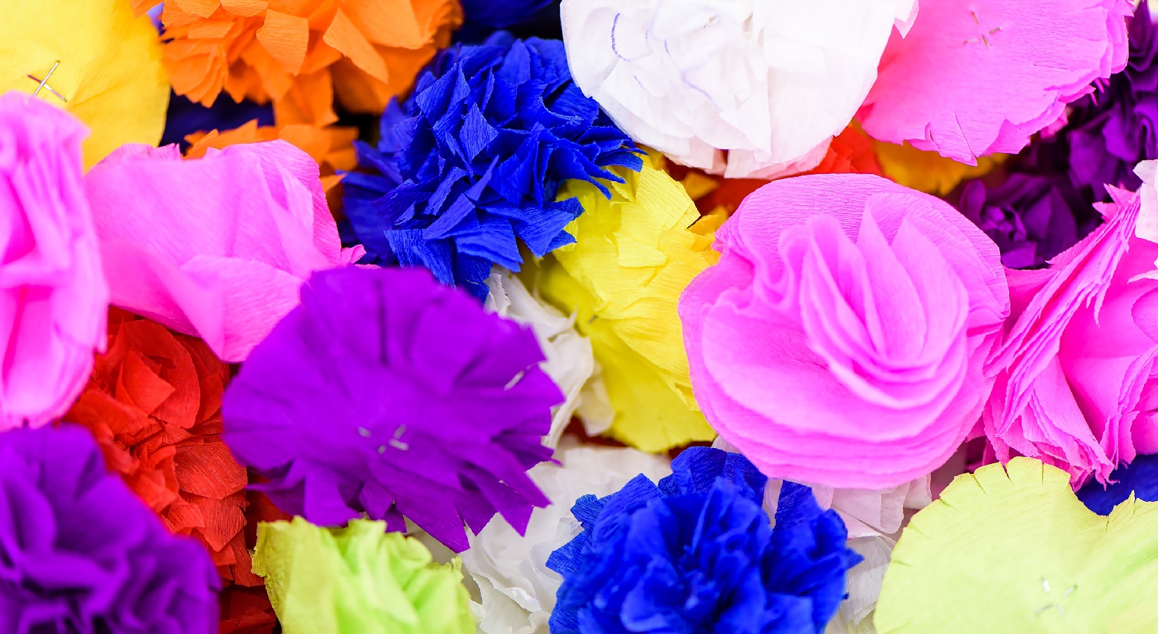 plethora of flowers made from tissue paper