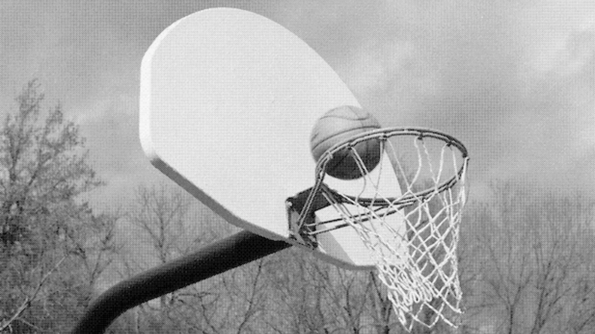 A black and white image of a basket ball hoop by artist Mark Anthony Brown Jr