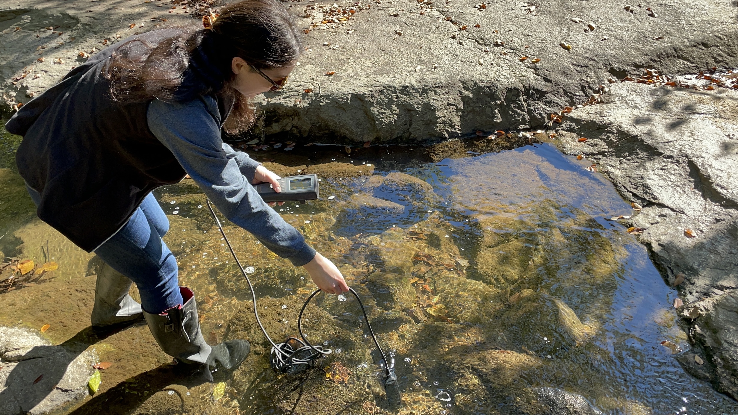 Staff Stream Monitoring