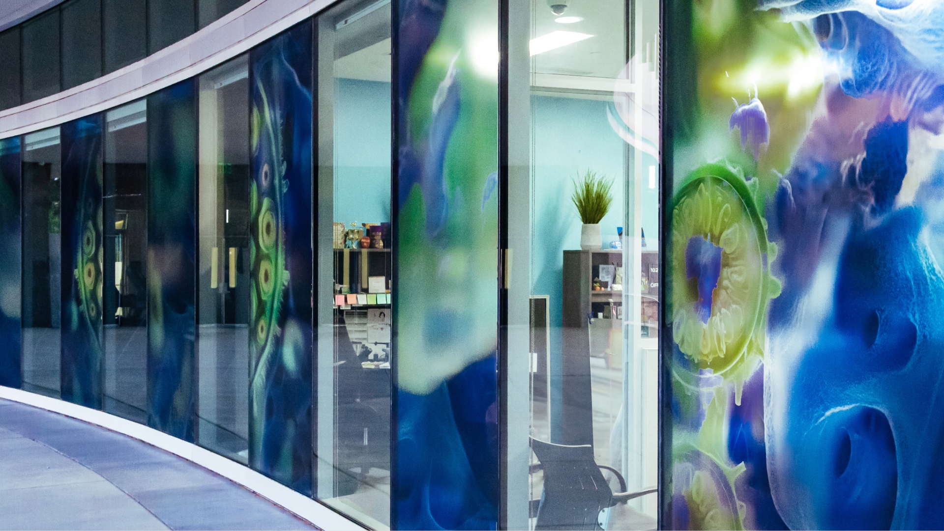 Photo of art installation on glass exterior of community center