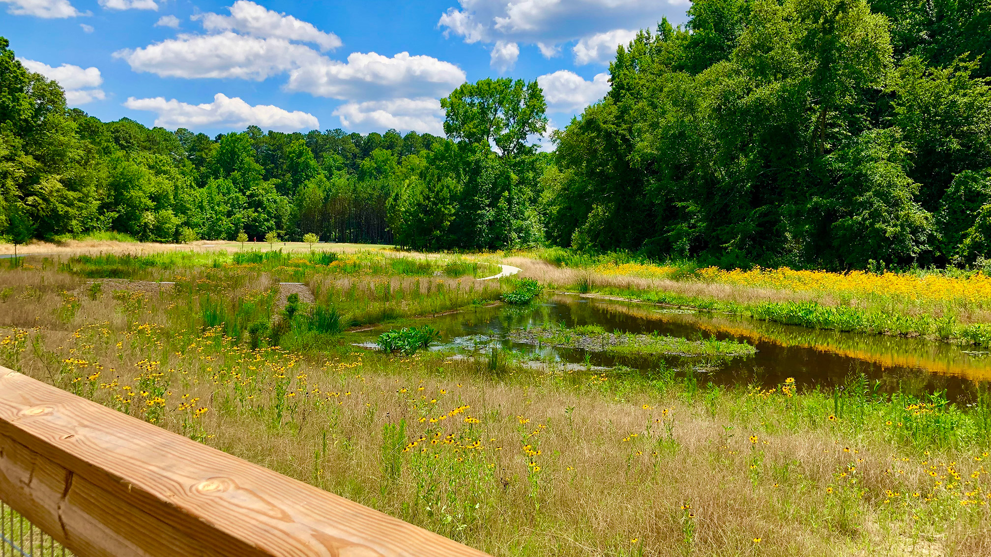an image of Wooten Meadow park