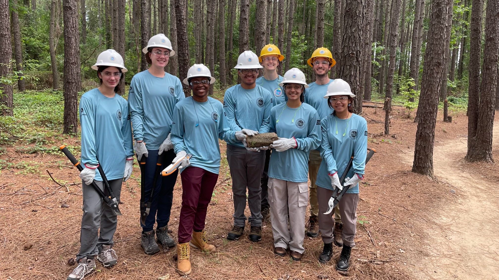teens removing invasive stuff in the woods