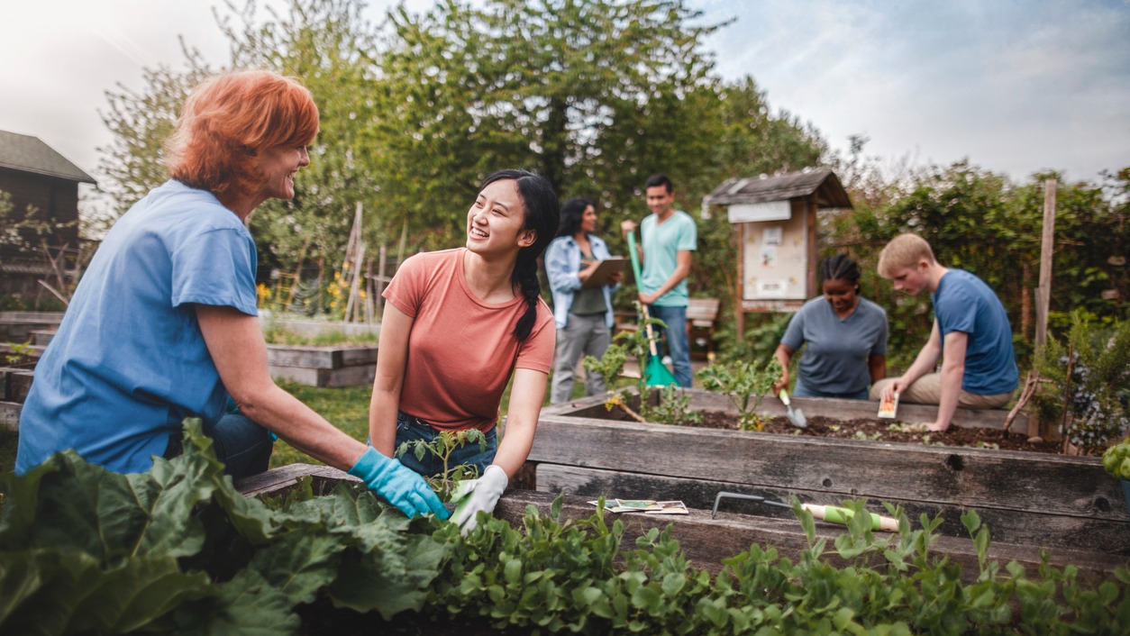 people gardening in the community