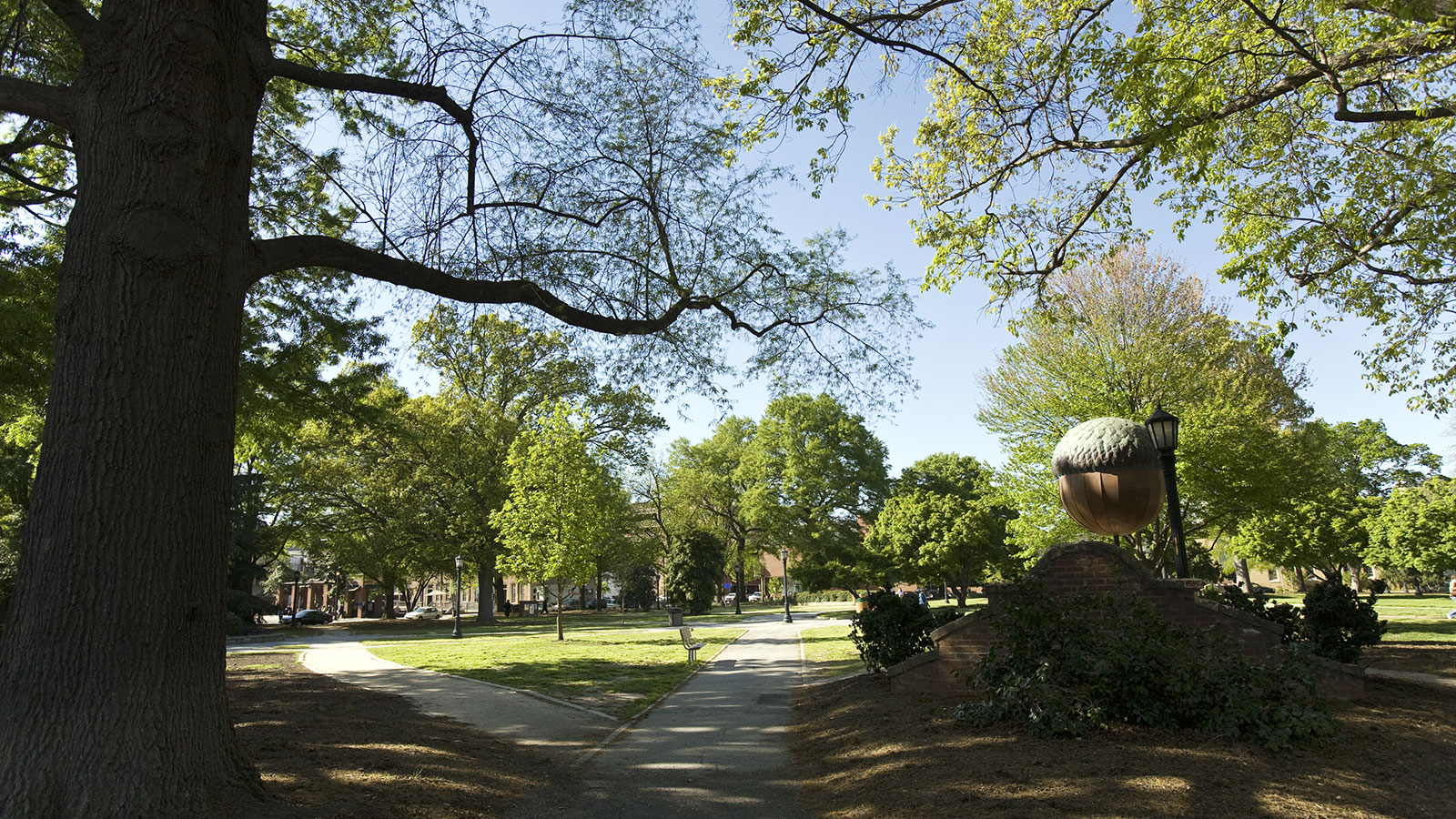 Moore Square Historic District by Michael Zirkle Photography