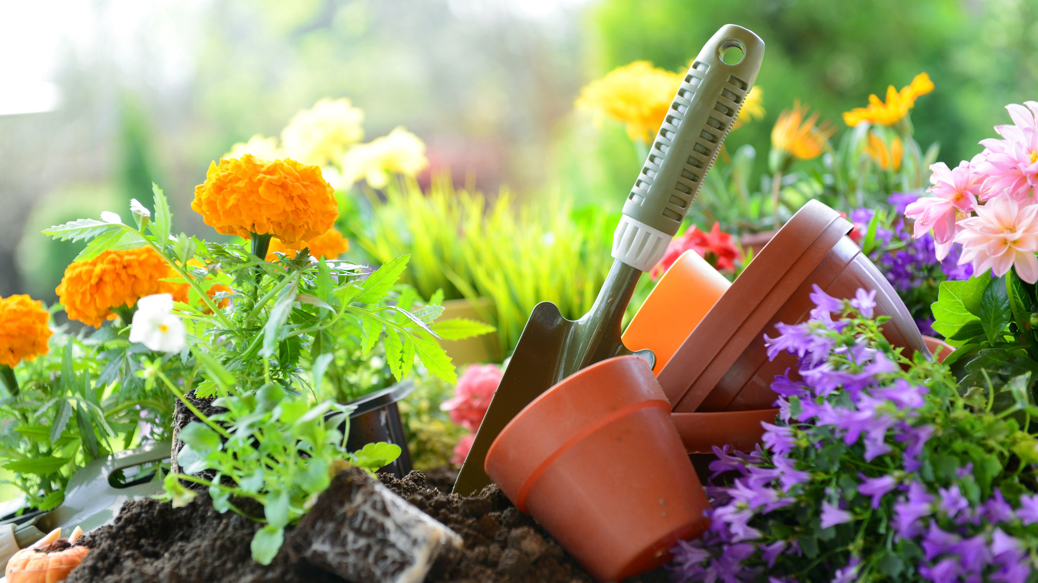 flowers in the garden with little pots and a trowel