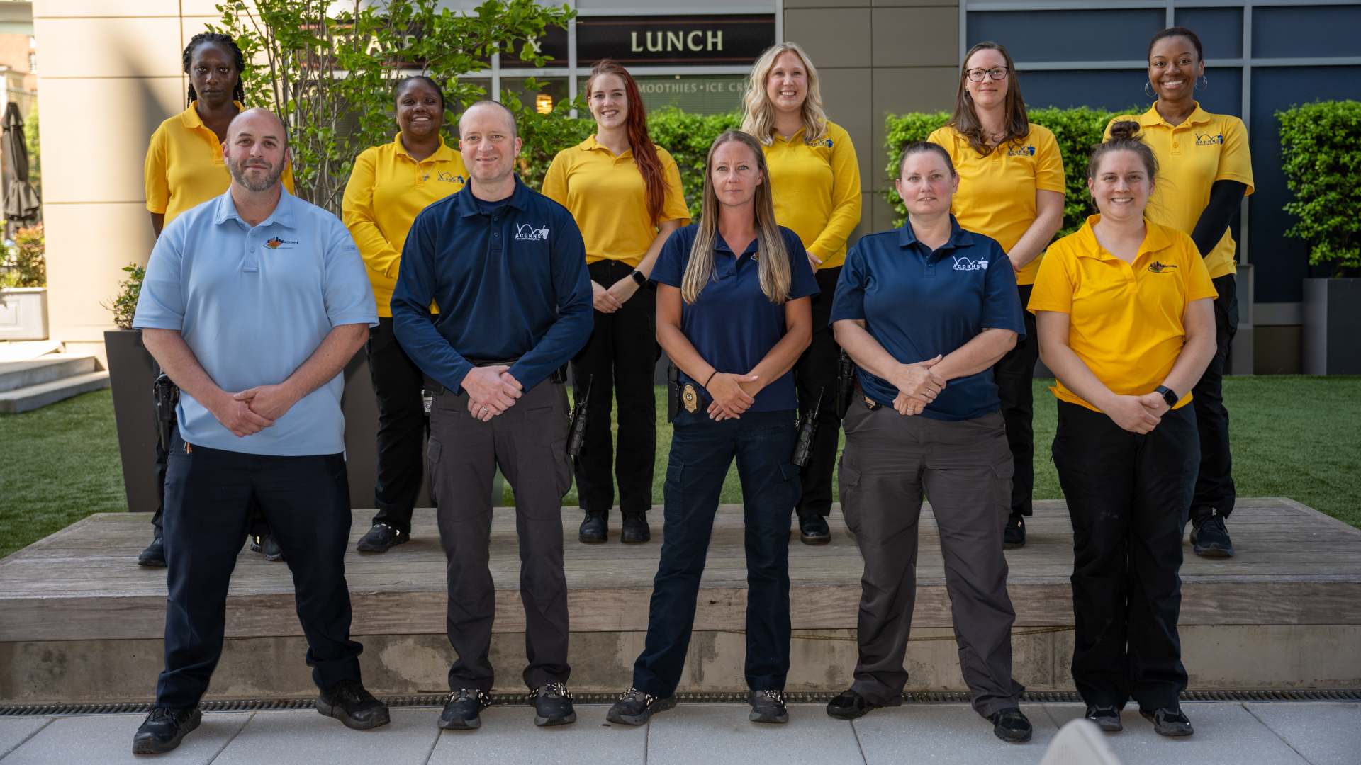 the acorns team line up