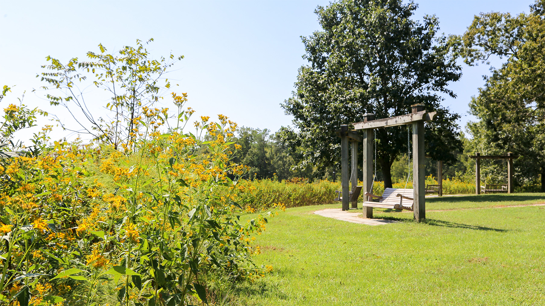 A variety of shrubs and plants surrounding swinging chairs 