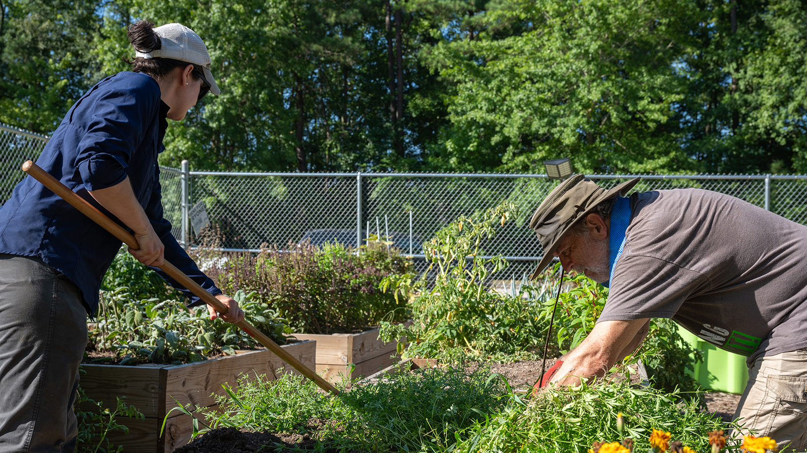 2025 Community Garden Volunteer Work Day Barwell Road