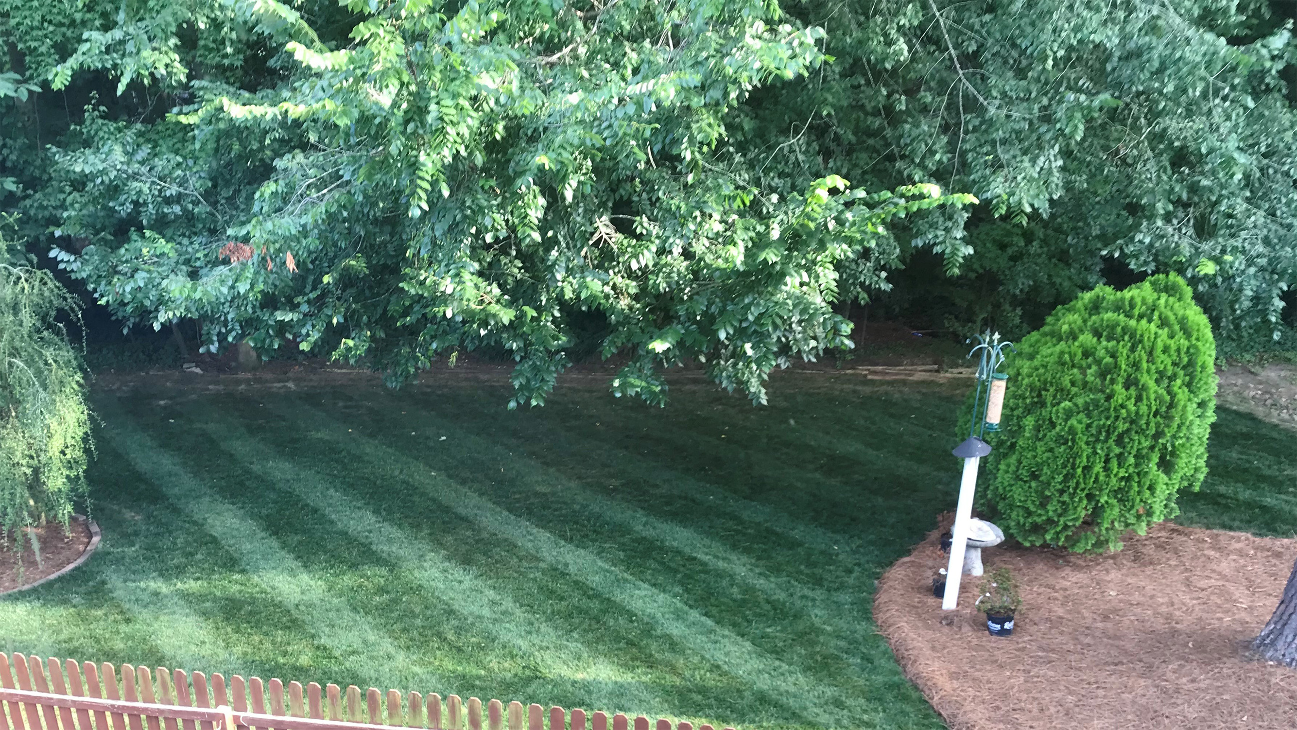 an image of a green lawn with lawnmower lines