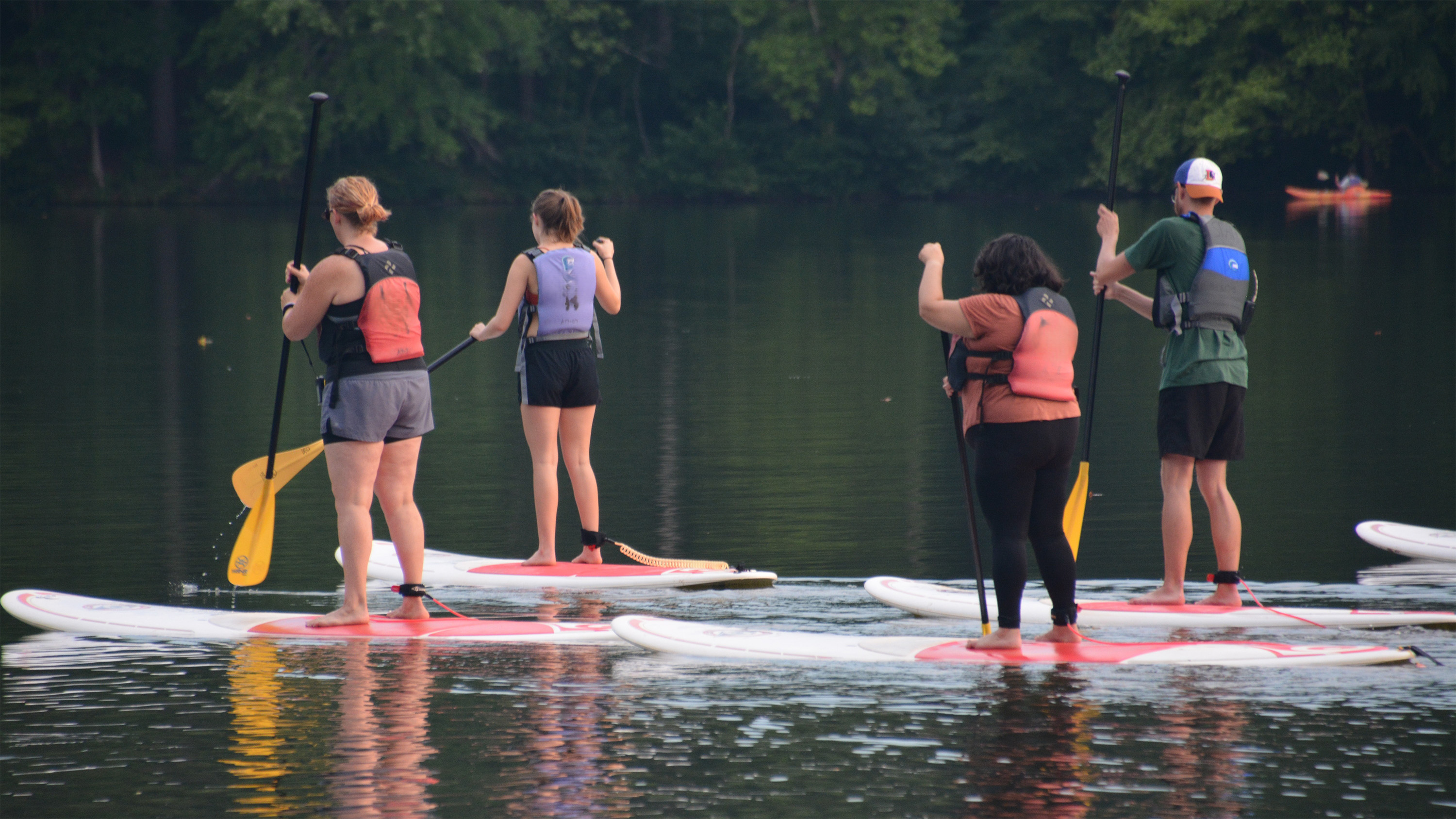 people on paddleboards in a lake
