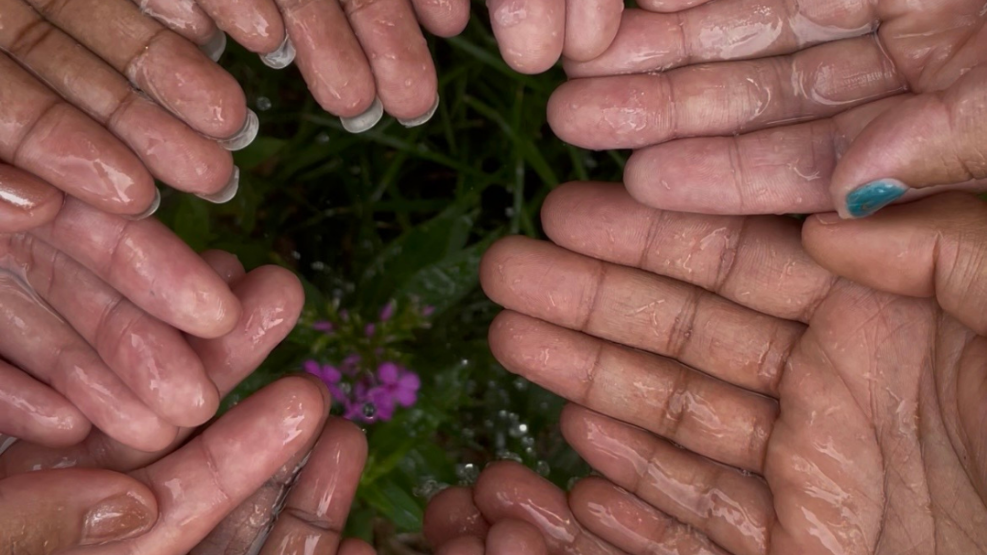 a circle of hands